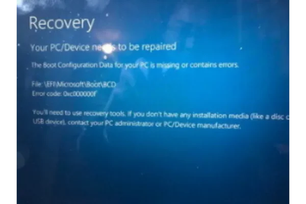 Recovery 回復 ブルースクリーン