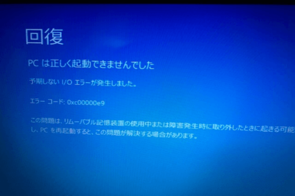 予期しないIOエラーが発生しました